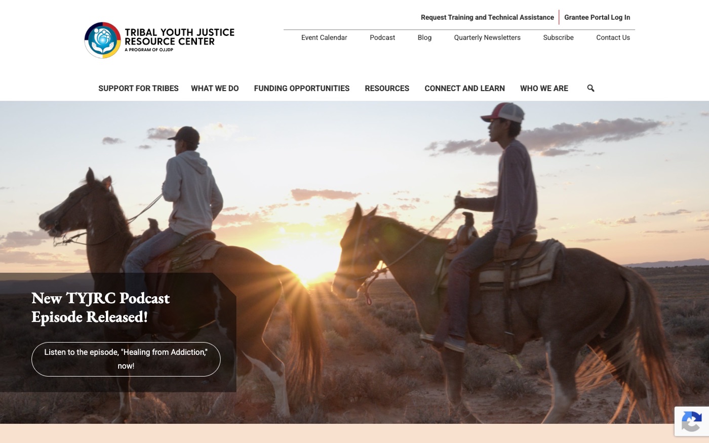 Tribal Youth Justice Resource Center
